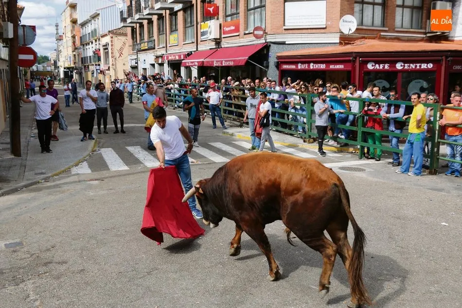 Foto 3 - Llegan &nbsp;&lsquo;los Corpus del toro&rsquo;, para vivir la fiesta en toda su expresi&oacute;n&nbsp;
