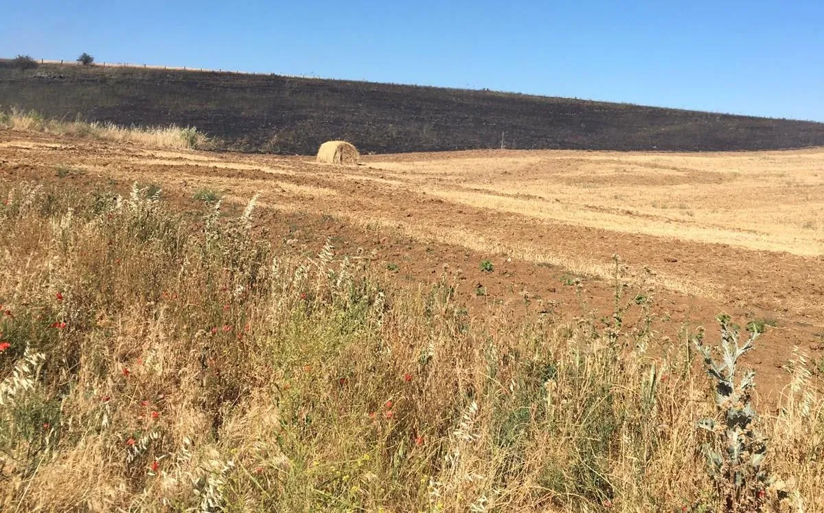 Foto 3 - Bomberos portugueses participan en la extinci&oacute;n de un incendio en La Alameda de Gard&oacute;n  