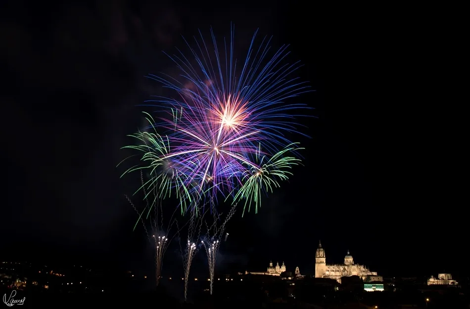 Foto 6 - Los fuegos artificiales llenan de luz y color el cielo salmantino  