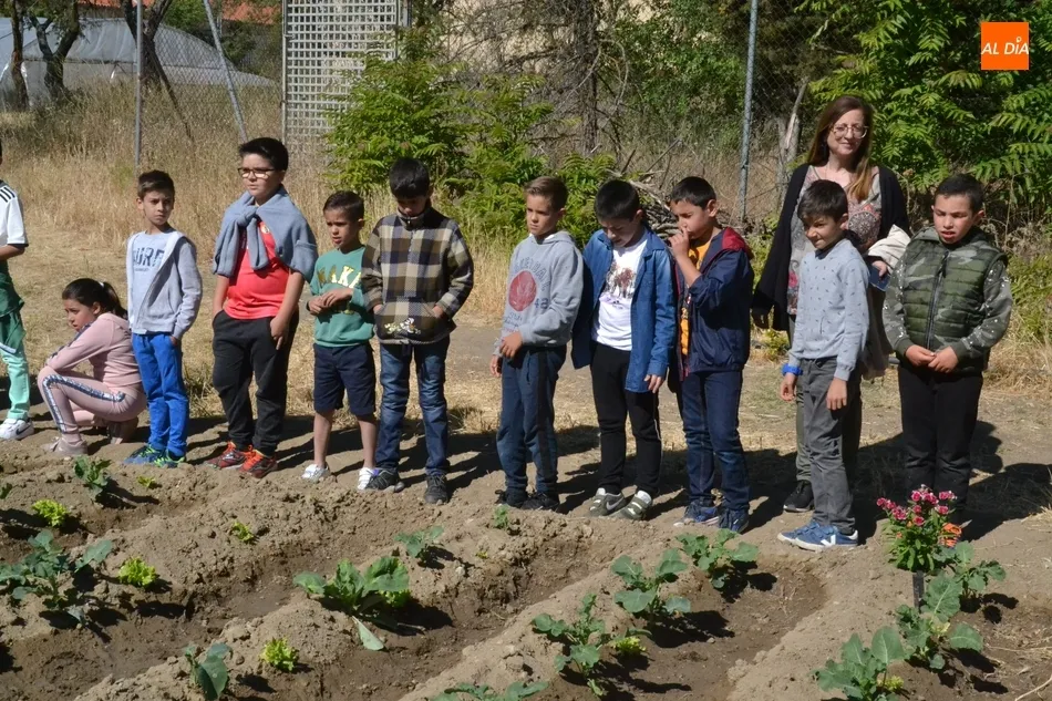 Foto 6 - El huerto de C&aacute;ritas recibe a alumnos del Colegio San Francisco  