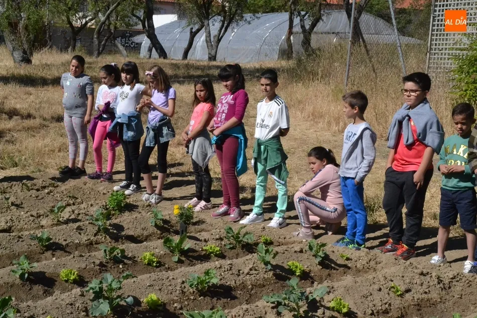 Foto 5 - El huerto de C&aacute;ritas recibe a alumnos del Colegio San Francisco  