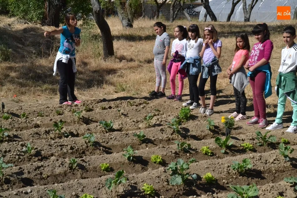 Foto 4 - El huerto de C&aacute;ritas recibe a alumnos del Colegio San Francisco  