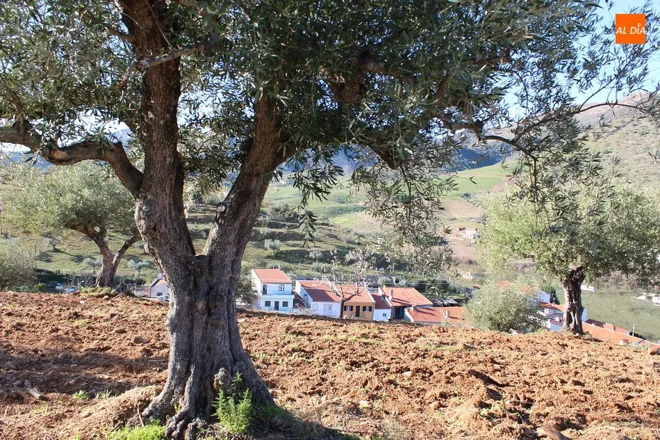 Foto 5 - Plataforma de Ciencia Abierta, el conocimiento al servicio de la comunidad rural  
