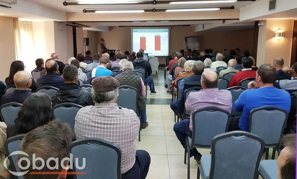 Foto 2 - COBADU inicia las juntas preparatorias previas a la asamblea del 25 de junio  