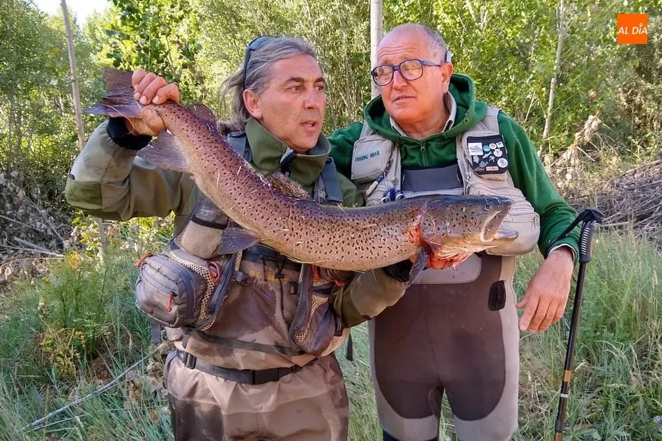 Foto 7 - El hucho da la cara en el Tormes  