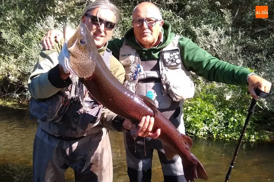 Foto 5 - El hucho da la cara en el Tormes  