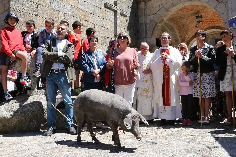 Foto 4 - Bendici&oacute;n del marrano de San Ant&oacute;n en La Alberca