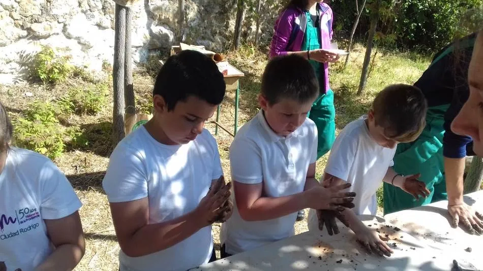 Foto 4 - Los alumnos de Misioneras-Santa Teresa tambi&eacute;n se pasan por el huerto de C&aacute;ritas  