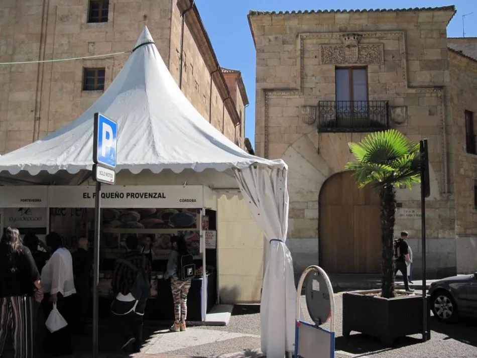 Foto 9 - Ciudadanos por la Defensa del Patrimonio cr&iacute;tica el uso de los espacios p&uacute;blicos para eventos