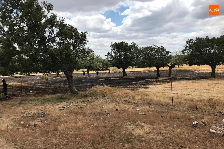 El incendio afectaba a una hectárea de trigo