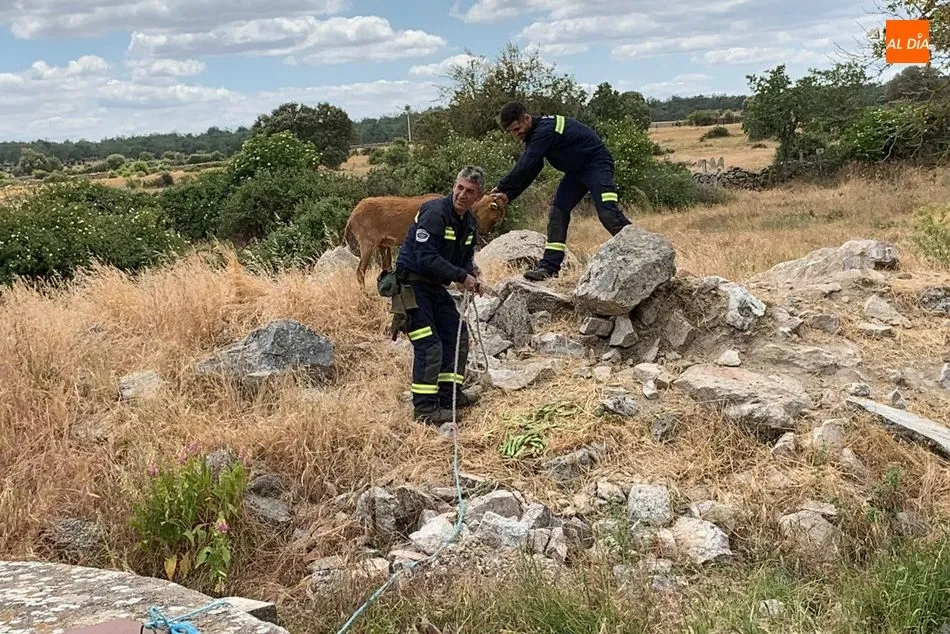Foto 4 - Extinguido un incendio en Cerezal de Puertas producido por un peine de siega  