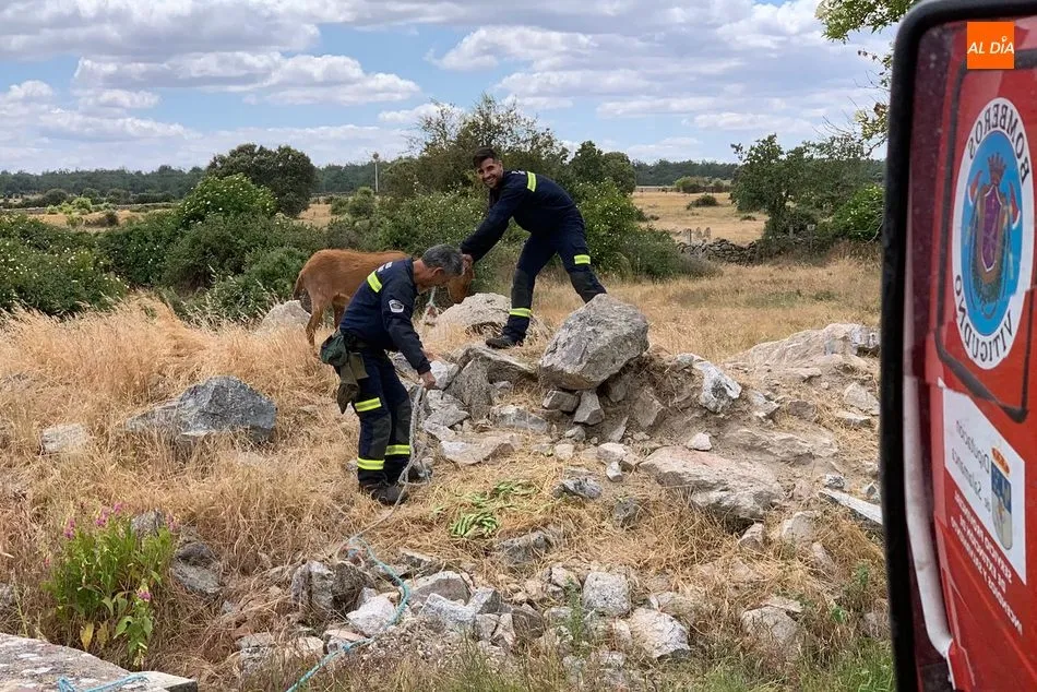 Foto 2 - Extinguido un incendio en Cerezal de Puertas producido por un peine de siega  