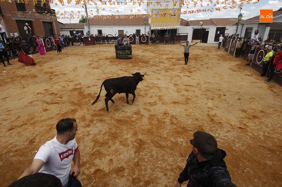 Foto 9 - Una suelta de vaquillas que tuvo un m&iacute;nimo incidente abre los eventos taurinos en Mart&iacute;n de...