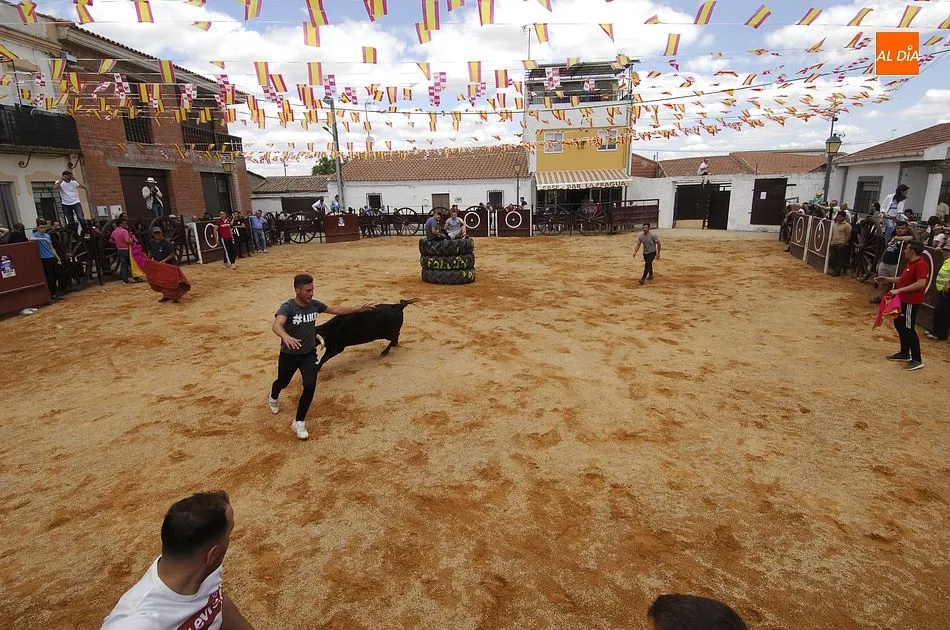 Foto 10 - Una suelta de vaquillas que tuvo un m&iacute;nimo incidente abre los eventos taurinos en Mart&iacute;n de...