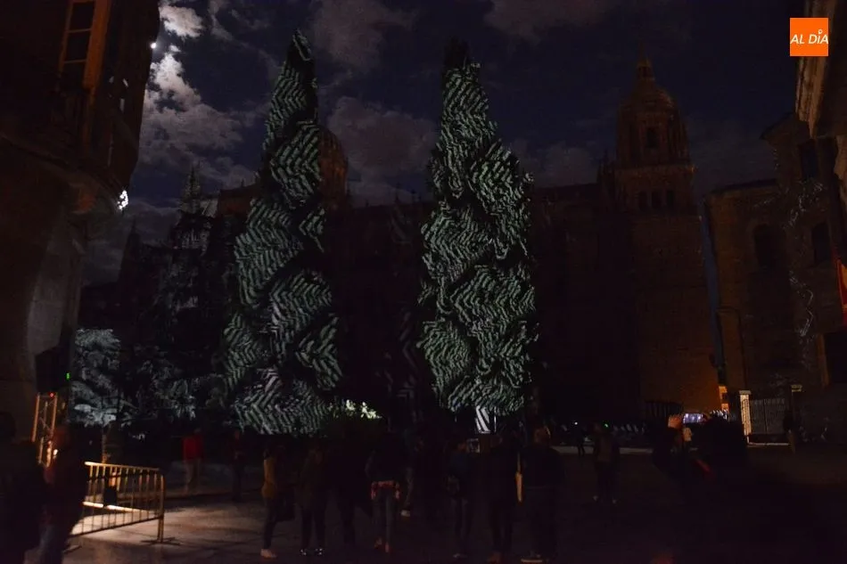 Foto 5 - El artista Javier Riera reflexiona sobre el cuidado del medio ambiente en el festival Luz y...