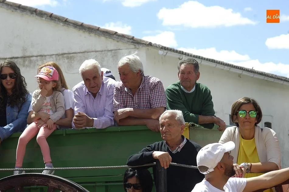 Foto 7 - Puntual, r&aacute;pido y limpio encierro a caballo en Mart&iacute;n de Yeltes  