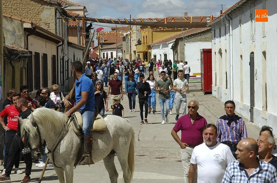 Foto 9 - Puntual, r&aacute;pido y limpio encierro a caballo en Mart&iacute;n de Yeltes  