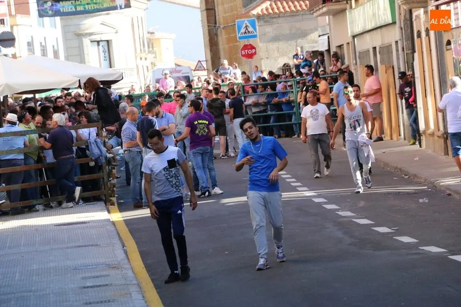 Foto 7 - Caramelo llena de emoci&oacute;n las calles de Vitigudino en un pre-Corpus para recordar  