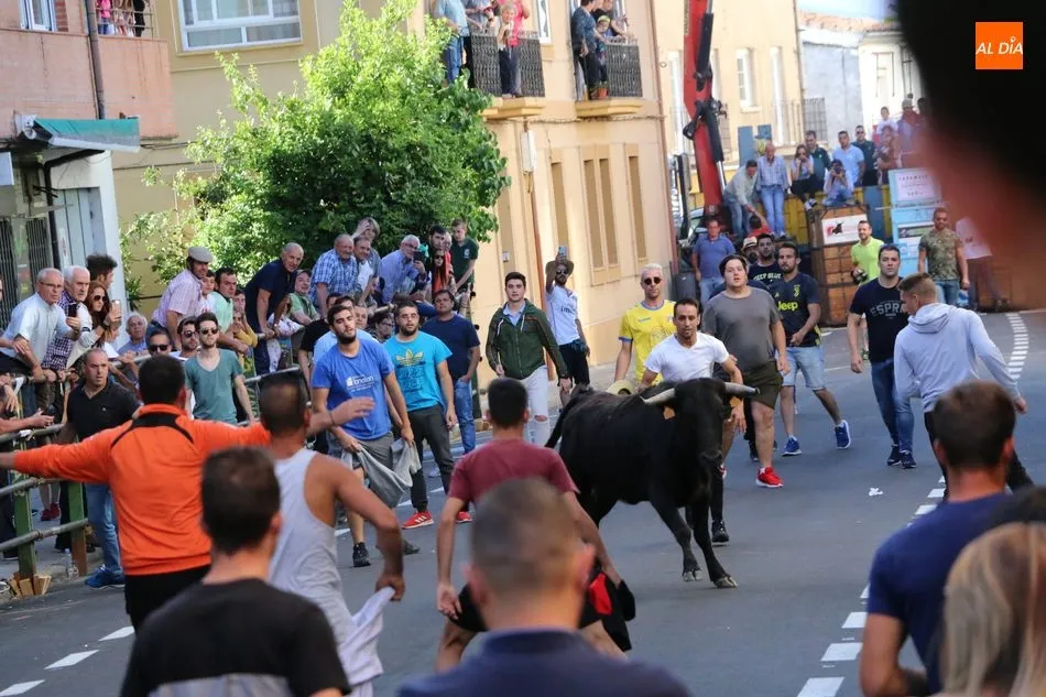 Caramelo llena de emoción las calles de Vitigudino en un pre-Corpus para recordar  