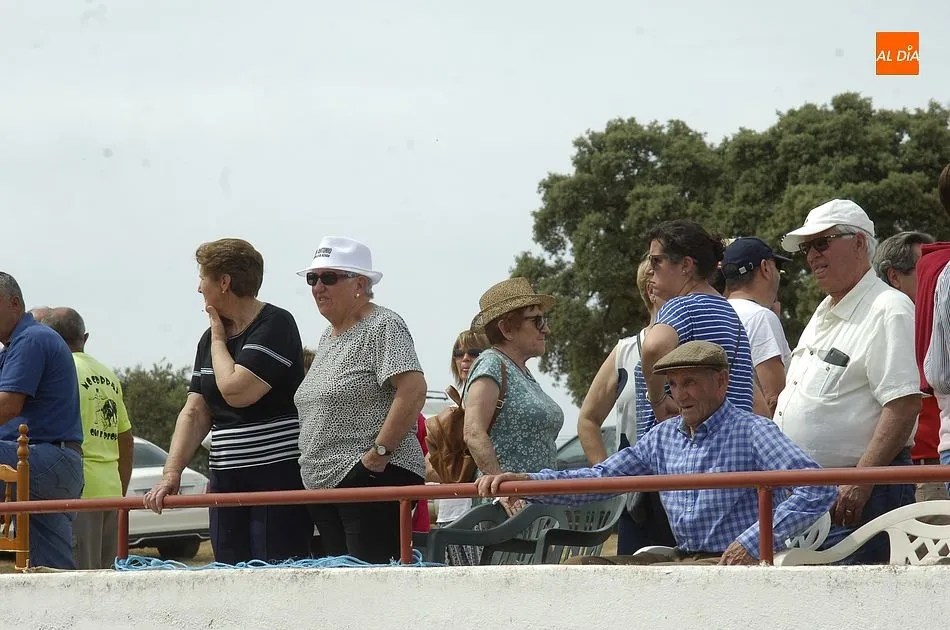 Foto 5 - Encierro a caballo perfecto en Campillo de Azaba con la manada compacta y veloz  