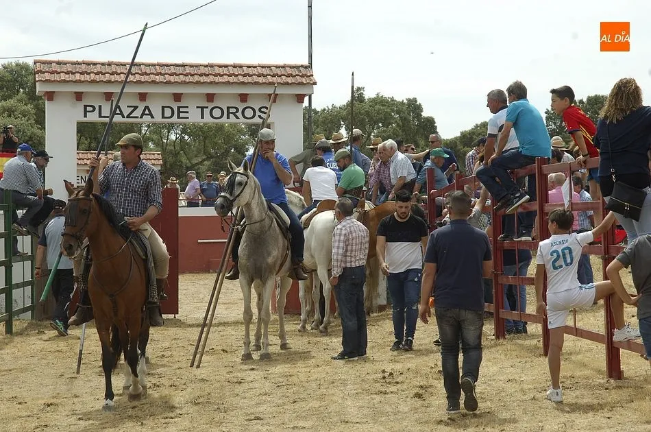 Foto 7 - Encierro a caballo perfecto en Campillo de Azaba con la manada compacta y veloz  