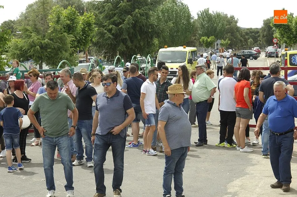 Foto 4 - Encierro a caballo perfecto en Campillo de Azaba con la manada compacta y veloz  