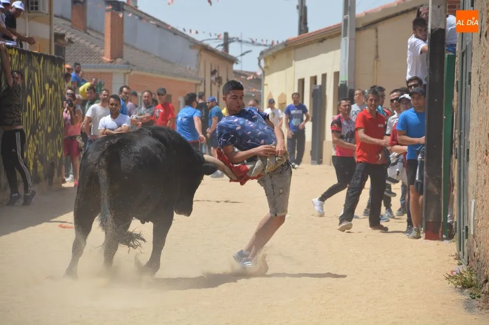 Foto 10 - Encierro urbano, gran protagonista del &uacute;ltimo d&iacute;a de fiestas de Topas  