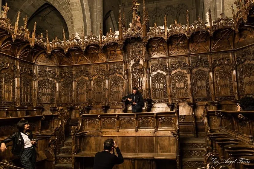 Foto 11 - AFAM vive una noche m&aacute;gica en la Catedral de Santa Mar&iacute;a  