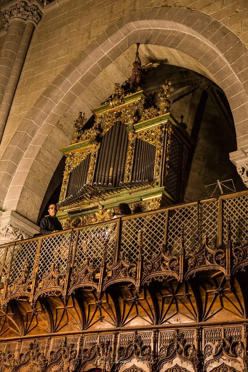 Foto 3 - AFAM vive una noche m&aacute;gica en la Catedral de Santa Mar&iacute;a  