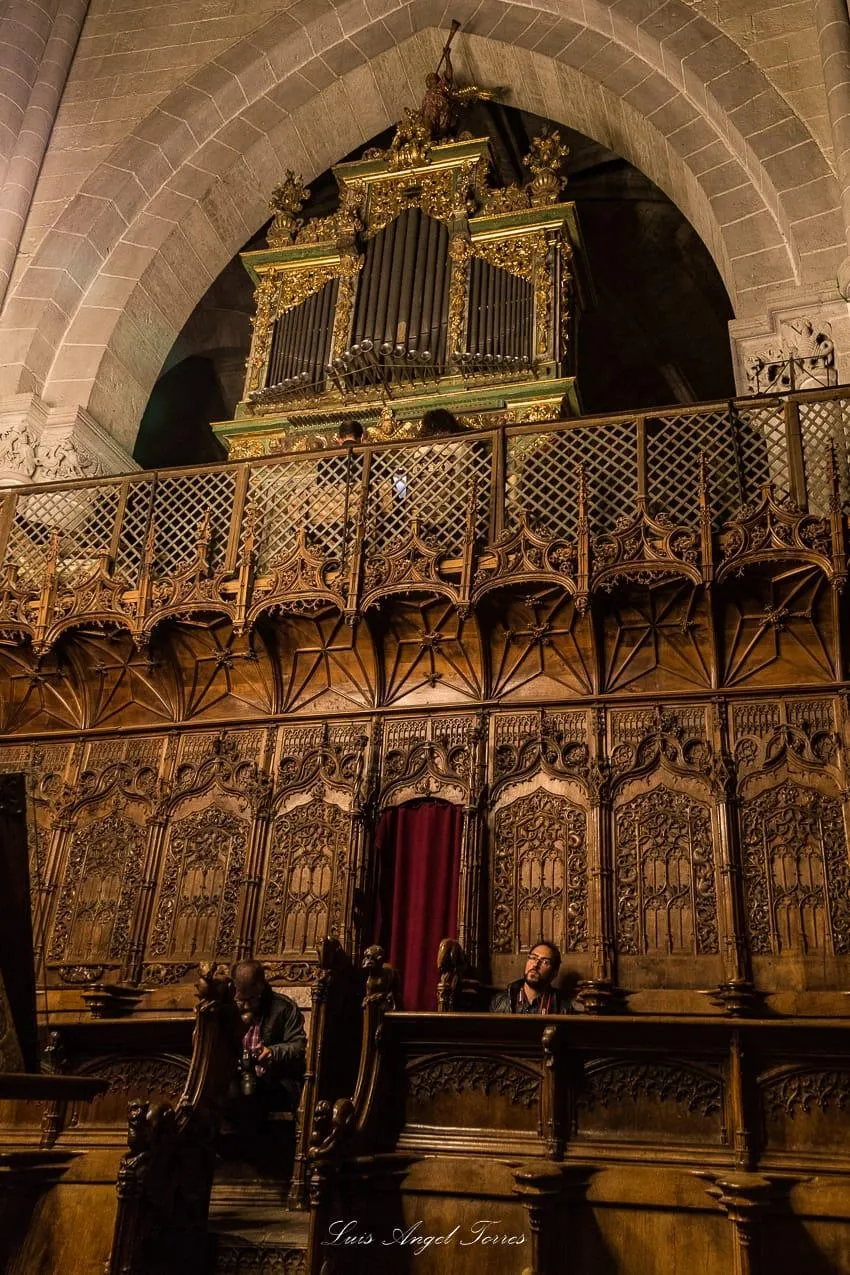 Foto 2 - AFAM vive una noche m&aacute;gica en la Catedral de Santa Mar&iacute;a  