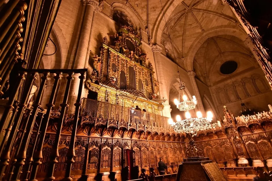 Foto 4 - AFAM vive una noche m&aacute;gica en la Catedral de Santa Mar&iacute;a  