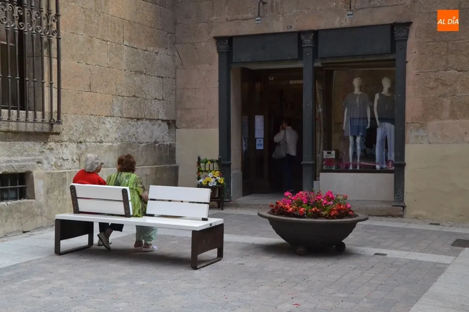 Foto 6 - El centro de la calle Madrid incorpora tambi&eacute;n jardineras  