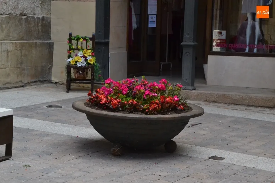 Foto 2 - El centro de la calle Madrid incorpora tambi&eacute;n jardineras  