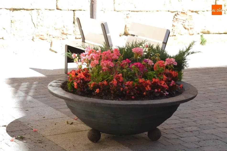 Foto 4 - El centro de la calle Madrid incorpora tambi&eacute;n jardineras  