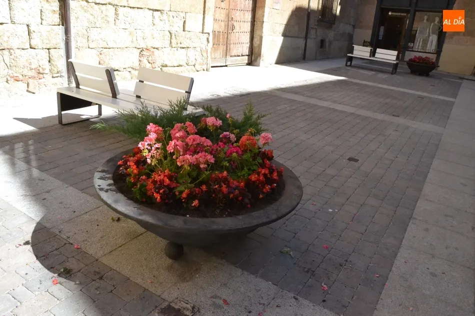Foto 5 - El centro de la calle Madrid incorpora tambi&eacute;n jardineras  