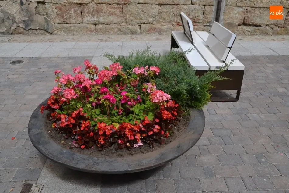 Foto 3 - El centro de la calle Madrid incorpora tambi&eacute;n jardineras  