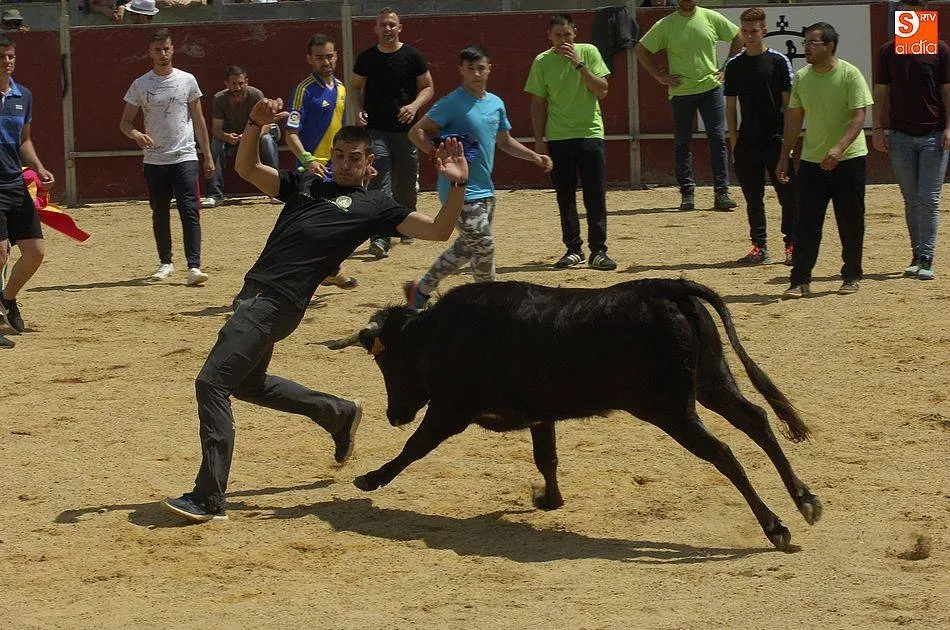 Imagen de una de las capeas del año pasado en Sancti-Spíritus