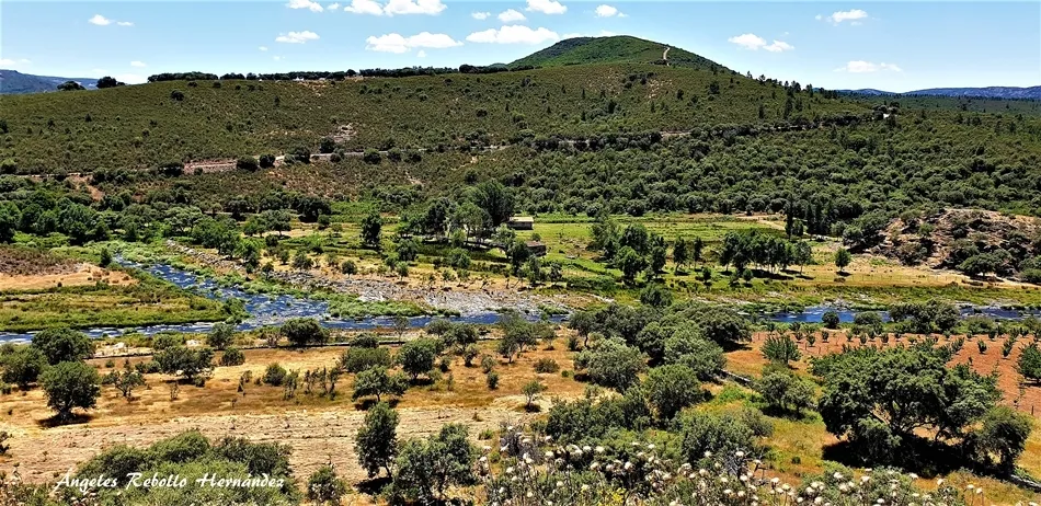 Derivaciones del agua