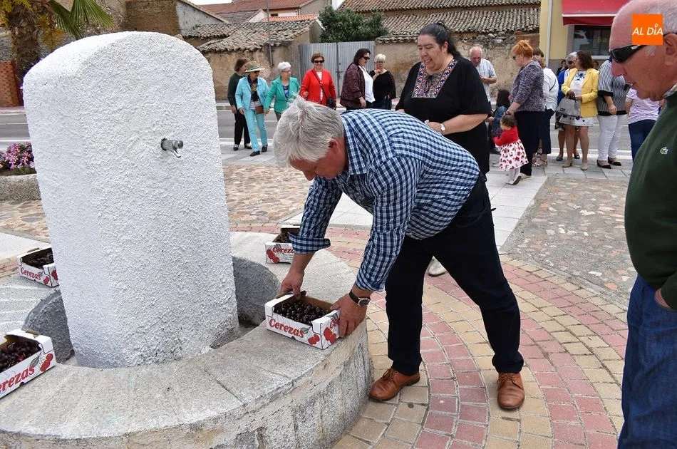 Foto 4 - Cuarenta kilos de cerezas para el tradicional d&iacute;a de &lsquo;Los Guinderos&rsquo;