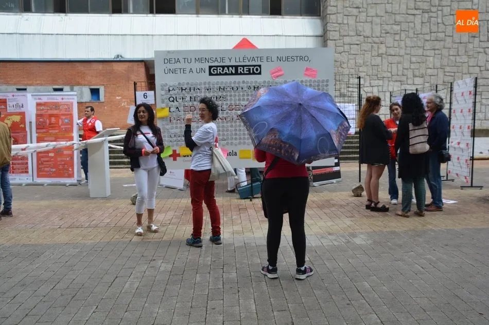 La exposición del Cruz Roja / Lydia González