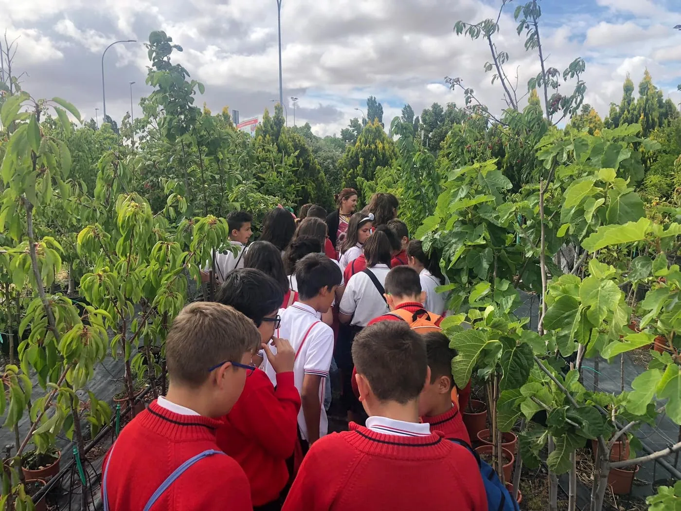 Foto 6 - El Colegio Trinitarios visita un vivero y los alumnos conocen un mundo nuevo