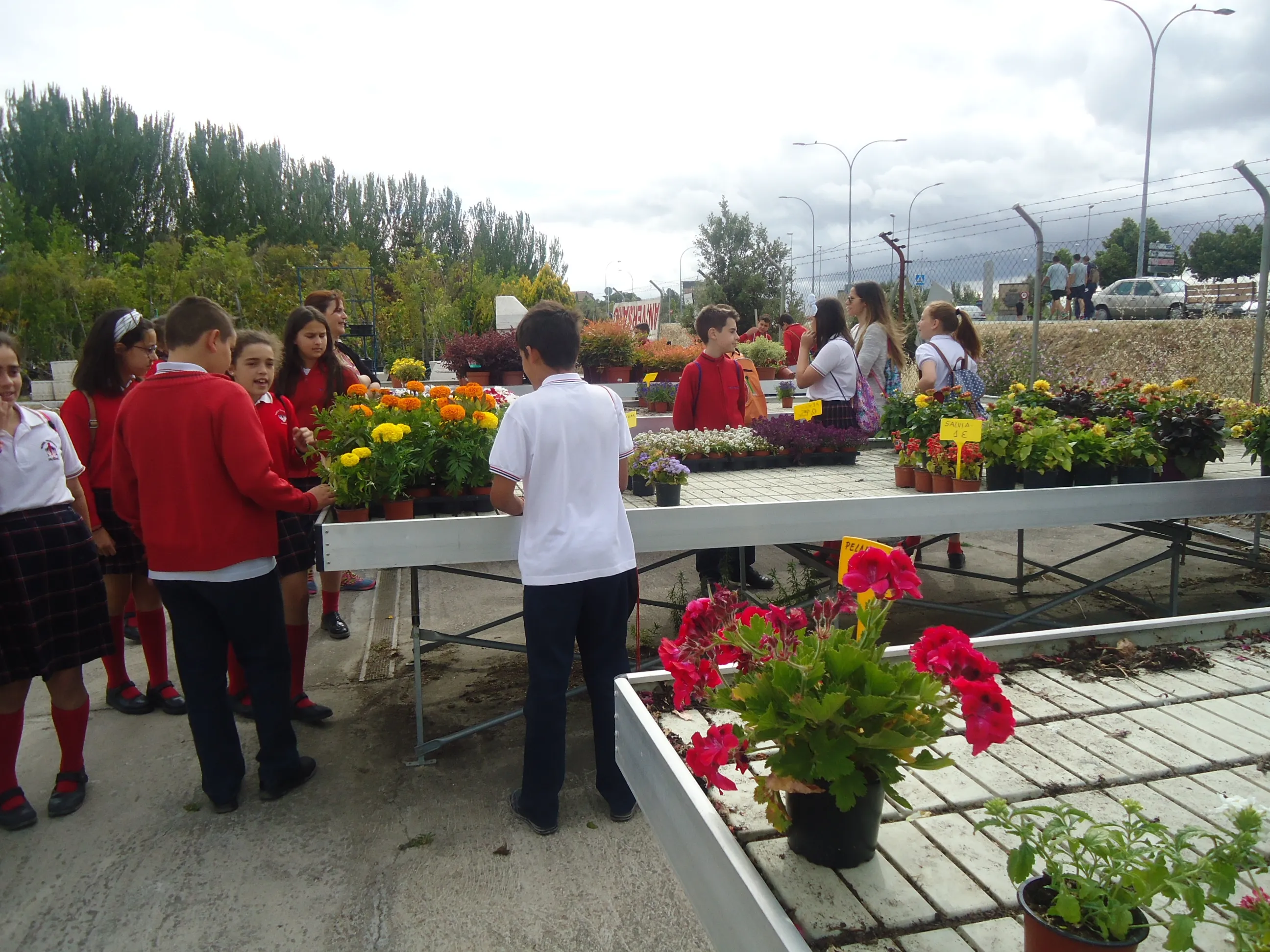Foto 3 - El Colegio Trinitarios visita un vivero y los alumnos conocen un mundo nuevo