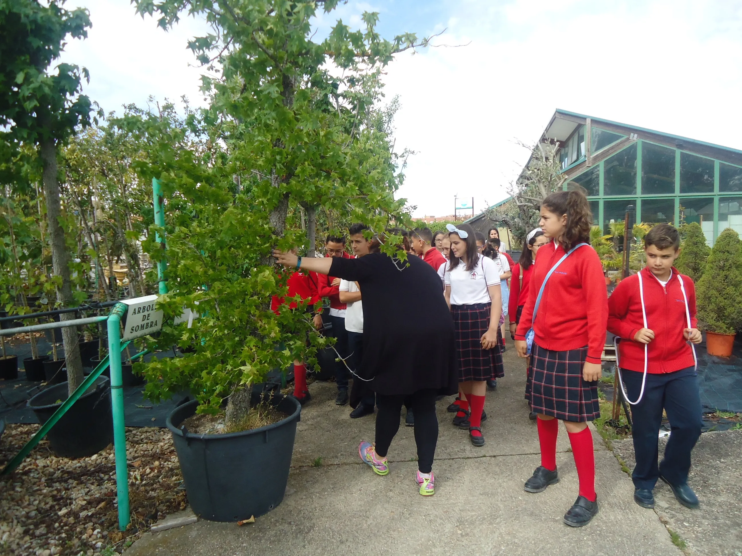 Foto 2 - El Colegio Trinitarios visita un vivero y los alumnos conocen un mundo nuevo