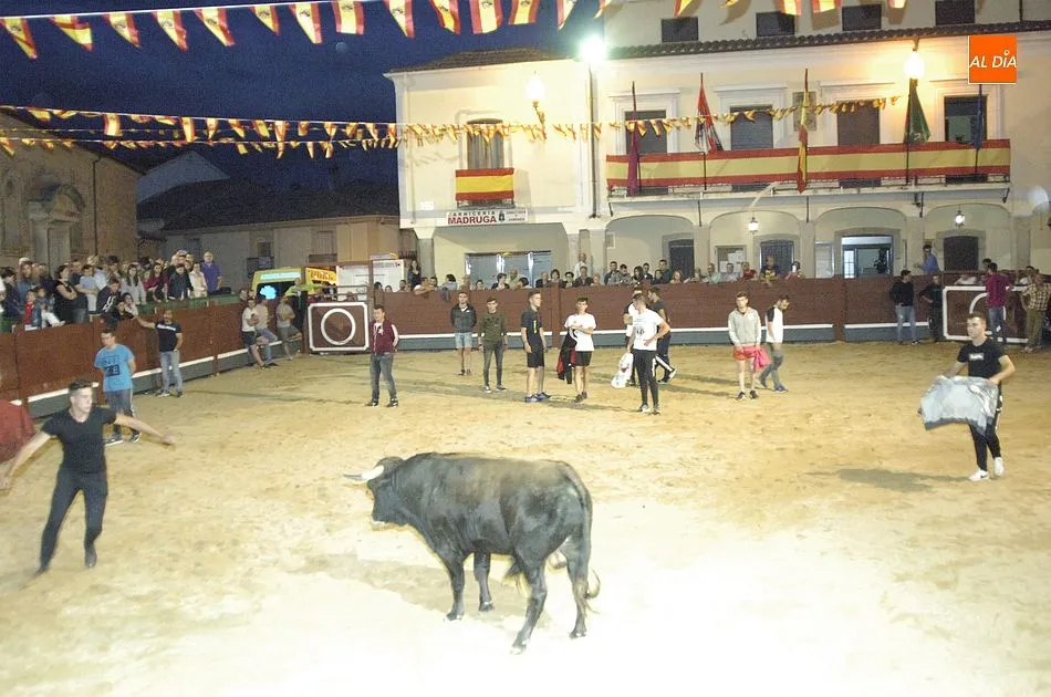 Foto 9 - Los toros y el jam&oacute;n, una mezcla perfecta para los fuente&ntilde;os  