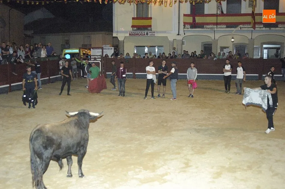 Foto 6 - Los toros y el jam&oacute;n, una mezcla perfecta para los fuente&ntilde;os  