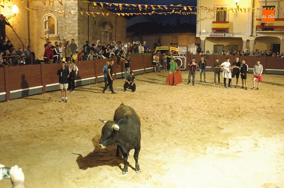 Foto 7 - Los toros y el jam&oacute;n, una mezcla perfecta para los fuente&ntilde;os  