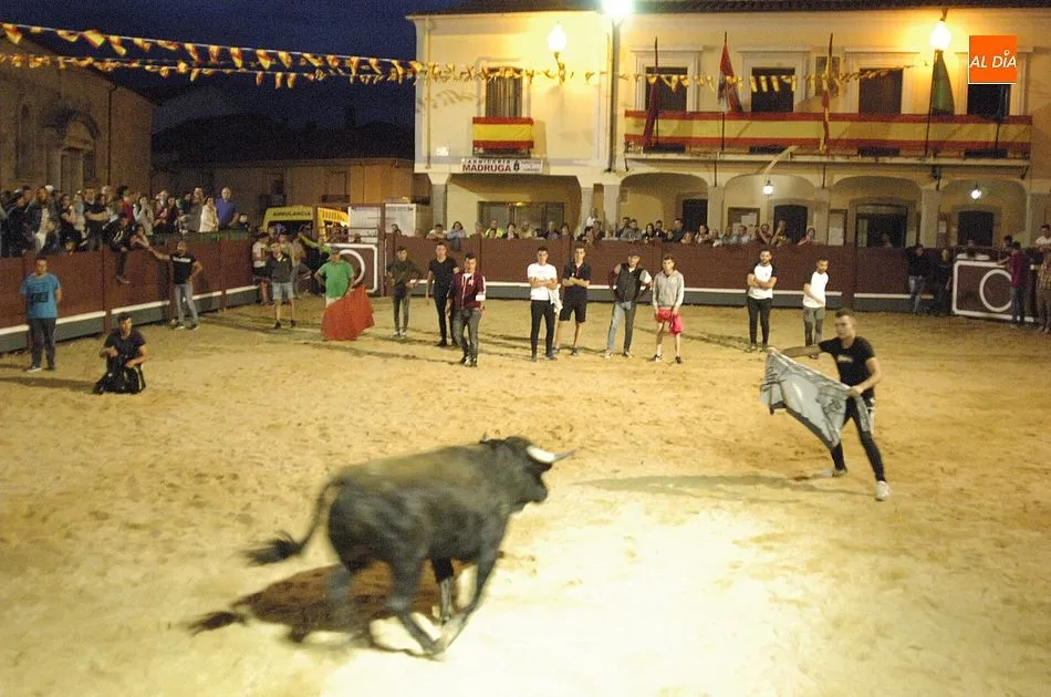 Foto 5 - Los toros y el jam&oacute;n, una mezcla perfecta para los fuente&ntilde;os  