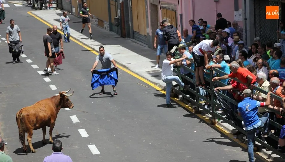 A pesar de ser día laborable en el resto de municipios, hubo una buena afluencia de público  / REP. GRÁFICO: MARIBEL SÁNCHEZ