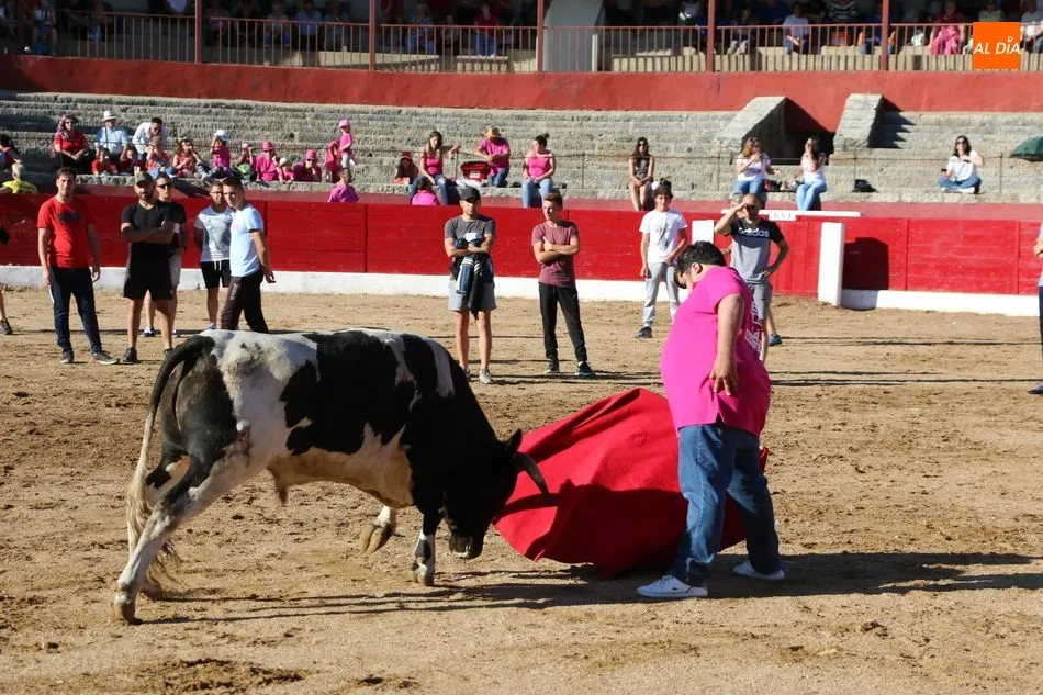 Foto 11 - Buen juego de los novillos a concurso en la capea de Viernes de Corpus en Vitigudino  