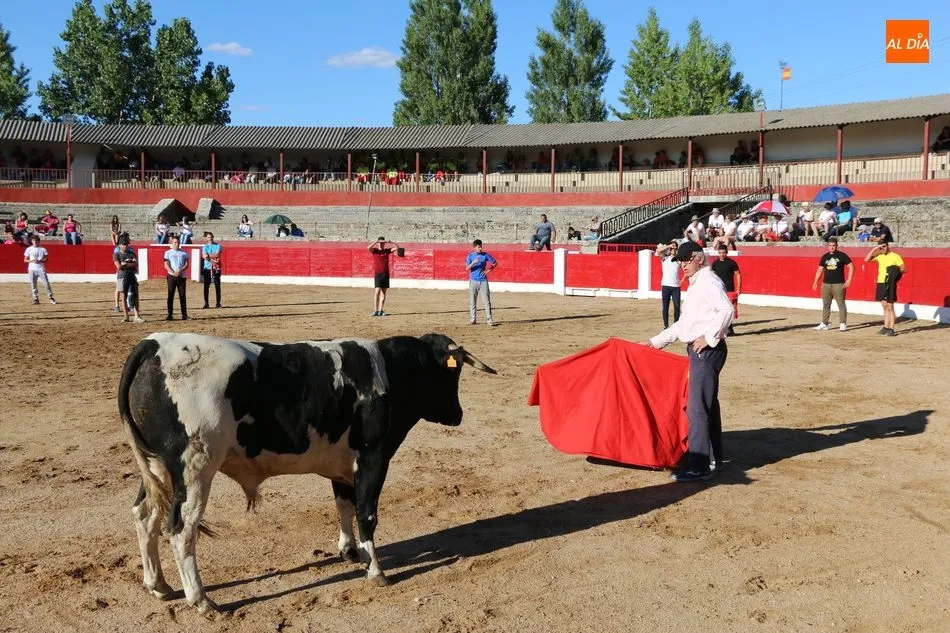 Foto 10 - Buen juego de los novillos a concurso en la capea de Viernes de Corpus en Vitigudino  